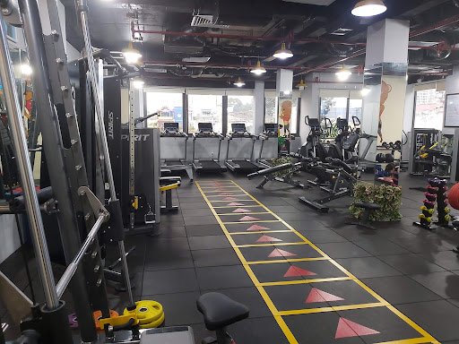 TRUNG TÂM THỂ HÌNH & YOGA MARSGYM ( YOGA MARSGYM FITNESS CENTER ) - Phòng Tập Aerobic Quận 1
