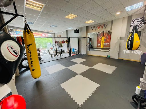 The Lion - Kickboxing & Fitness - Phòng tập thể dục tại Tây Hồ, Hà Nội