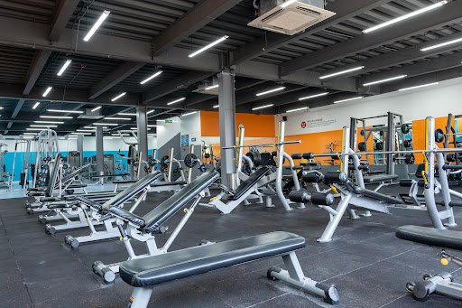 Top Phòng Gym gần Đại học Công nghiệp TP.HCM Giá Rẻ, Chất lượng tại TP.HCM The New Gym (256 Điện Biên Phủ) - Phòng Gym gần Đại học Công nghiệp TP.HCM tại TP.HCM