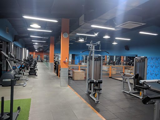 The New Gym - Phòng Gym gần Tân Bình chất lượng tại TP.HCM