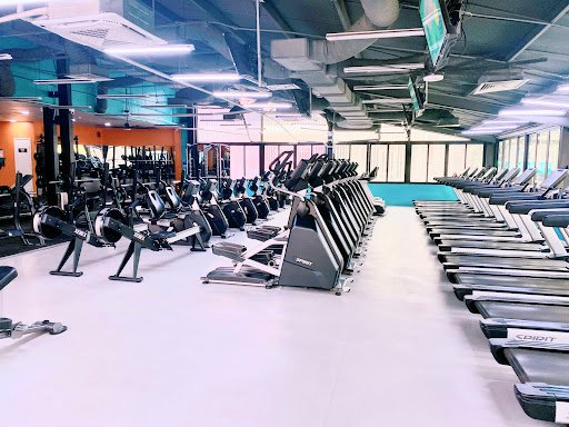 Top 10+ Phòng Tập Aerobic Quận 10 Giá Rẻ, Chất lượng The New Gym - Phòng Tập Aerobic Quận 10