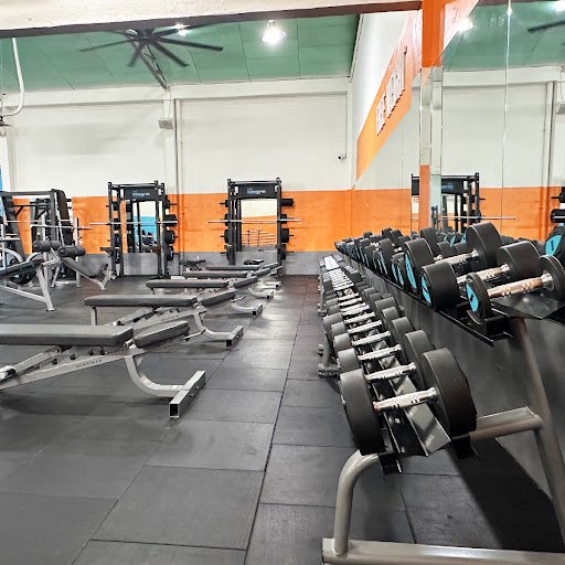 Top 10+ Phòng Tập Aerobic Quận 11 Giá Rẻ, Chất lượng The New Gym - Phòng Tập Aerobic Quận 11