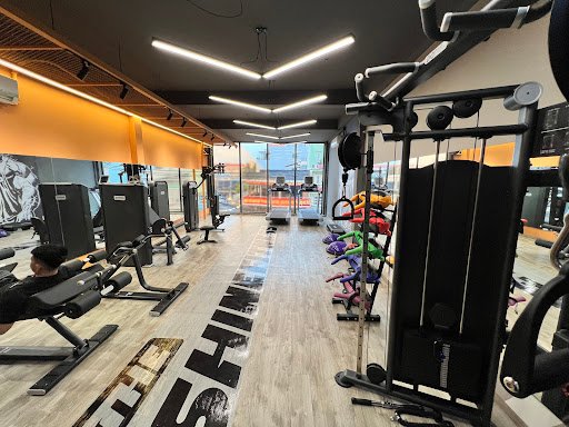 The Shine Fitness and Yoga - Phòng Gym tại TP.HCM