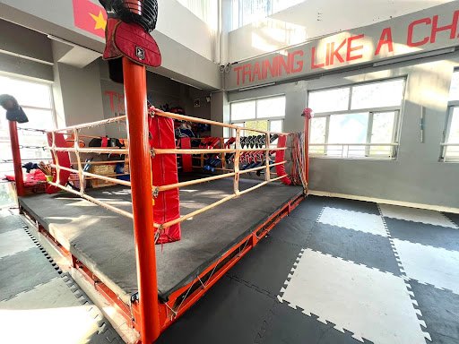 Top 10+ Phòng Tập Boxing Quận 3 Giá Rẻ, Chất lượng Tiger Muay Club - Phòng Tập Boxing Quận 3