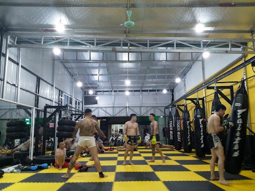 Top 10 Phòng boxing Long Biên Giá Rẻ, Chất lượng Tiger Muay - Phòng boxing Long Biên