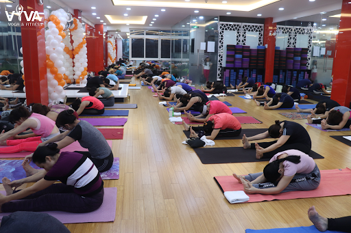 Top 10 Trung Tâm Yoga Quận 7, TP.HCM Chất Lượng, Giá Rẻ VIVA Yoga & Fitness Quận 7 - Trung tâm yoga tại Quận 7, TP.HCM
