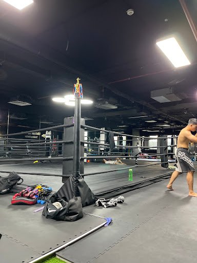 Top 10 Phòng boxing Ba Đình Giá Rẻ, Chất lượng Vietnam Top Team MMA Academy - Phòng boxing Ba Đình