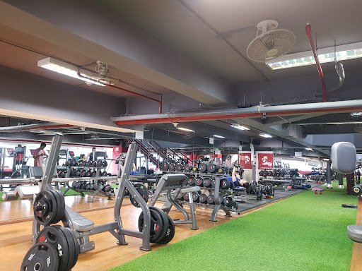 Top 10 Phòng Gym Gần đường Hoàng Hoa Thám Quận Ba Đình, Hà Nội Chất Lượng Vital Fitness 671 Hoang Hoa Tham Phong tap the duc tai Ba Dinh Ha Noi