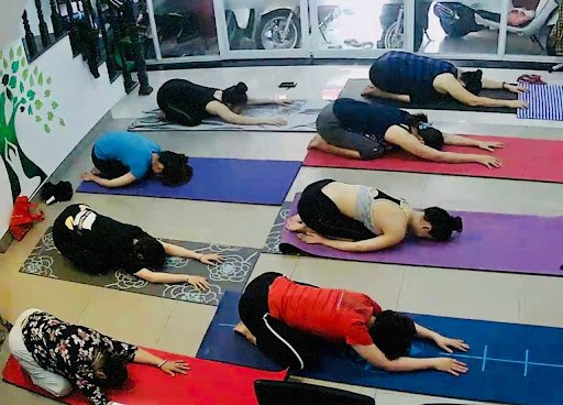 Top 12 Trung Tâm Yoga Tân Bình Giá Rẻ, Chất lượng tại TP.HCM Yoga Tân Bình - Hồng Trang Yoga&Spa - yoga Tân Bình tại TP.HCM