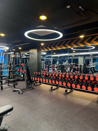 Top 10+ Phòng Tập Boxing Tân Phú Giá Rẻ, Chất lượng ZEN CENTER - Phòng Tập Boxing Tân Phú